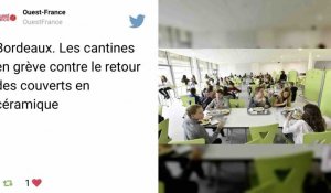 Grève dans les cantines des écoles à Bordeaux