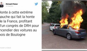 "Chasse aux DRH" au Bois de Boulogne : 41 arrestations et plusieurs véhicules incendiés