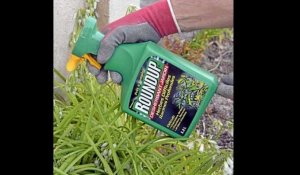 Glyphosate, ouragan, prix agricoles, Autriche, Kenya,...les actus du jeudi 12 octobre