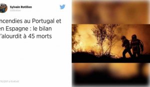 Incendies au Portugal et en Espagne : 45 morts
