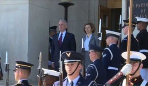 Mattis, ministre américain de la Défense, reçoit Florence Parly