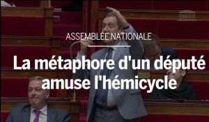 Assemblée nationale : la métaphore d'un député amuse l'hémicycle