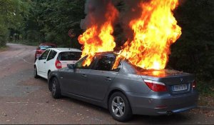 41 interpellations lors d'une "Chasse aux DRH" au bois de Boulogne 