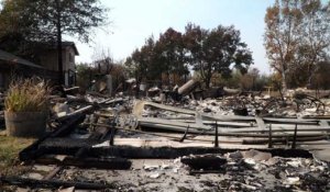 Incendies en Californie: des habitants effarés par les dégâts