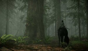 Shadow of the Colossus - Bande-annonce Paris Games Week 2017
