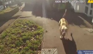 Un homme lâche son chien sur un policier, son terrible cri d'agonie (vidéo)