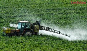 Le glyphosate mais... qu'est-ce que c'est ?