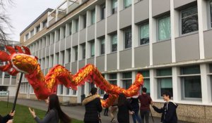 Le lycée Dupuy-de-Lôme fête le Nouvel An chinois