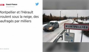 Montpellier et l'Hérault croulent sous la neige, des naufragés par milliers.