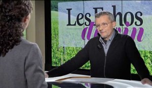 Vin : face aux scandales viticoles, l'appellation redouble d'importance