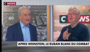 Besnehard sur Cnews : "Caroline De Haas là, j'ai envie de la gifler". Elkabbach approuve. 