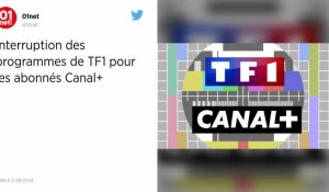 Canal + suspend la diffusion des chaînes de TF1, qui hurle au scandale.