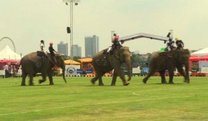 Au cœur de Bangkok, des éléphants joueurs de polo