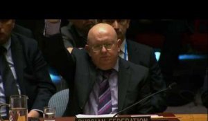 Syrie/chimique: veto russe à l'ONU