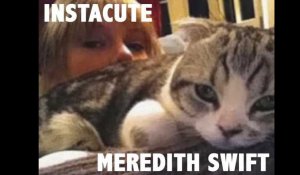 Meredith : Le chat super star de Taylor Swift !