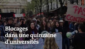 Une quinzaine de facs bloquées : la mobilisation étudiante en images