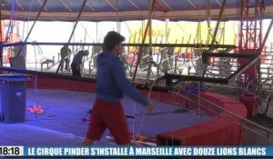 Le cirque Pinder s'installe à Marseille avec un tout nouveau spectacle