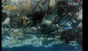 Plastique : tour du monde choc de la pollution des océans