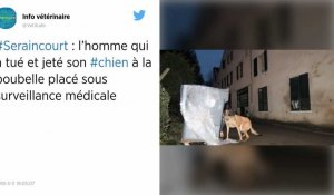 Val-d'Oise. Un homme ivre tue son chien et le jette à la poubelle.