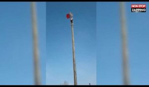 Russie : en short, il grimpe sur un poteau et fait une violente chute de 7m de haut (Vidéo)