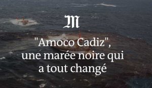 Naufrage de l'« Amoco Cadiz » : une marée noire qui a tout changé