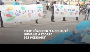 Des militants Vegan Impact s'entravent dans des filets de pêche à Paris 
