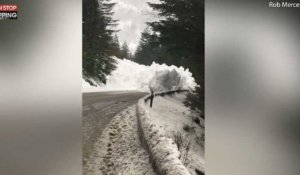 Etats-Unis : Une route engloutie par la neige après une avalanche (vidéo)