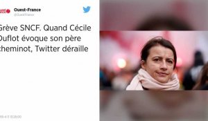 Grève SNCF. Quand Cécile Duflot évoque son père cheminot, Twitter déraille.