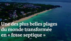 Une des plus belles plages du monde transformée « en fosse septique » va être fermée plusieurs mois
