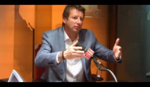 Yannick Jadot: «Macron a tranché en faveur des lobbies des pesticides»