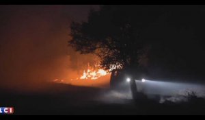 Bouches-du-Rhône : Un violent incendie ravage 500 hectares de forêt (Vidéo)