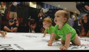 New York : Des bébés  font la course, la craquante vidéo