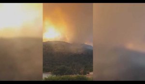 Corse : De violents incendies ravagent le nord du département (Vidéo)