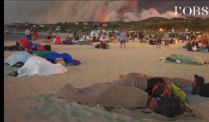 Incendies dans le Var : évacuation massive à Bormes-les-Mimosas