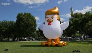 Devant la Maison blanche, Trump en poulet géant