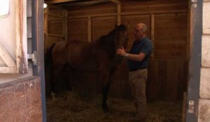 France: une pension pour les chevaux de la police de Sa Majesté