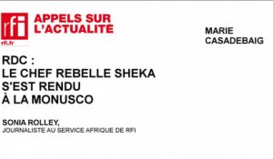 RDC : le chef rebelle Sheka s'est rendu à la MONUSCO