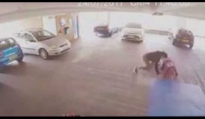 Un voleur de voiture tombe sur un champion de MMA et se fait maîtriser (vidéo) 