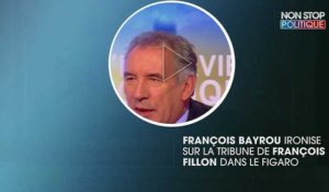 François Bayrou sur la tribune de François Fillon : "Si vous avez compris quelque-chose, je vous paie des caramels mous !"