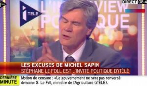 "Beaucoup de Denis Baupin à l'Assemblée" : suite aux accusations de Cécile Duflot, Stéphane Le Foll l'incite à parler