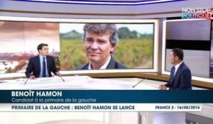Benoît Hamon annonce sa candidature à la primaire de la gauche