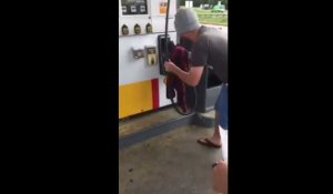 Un serpent dans une pompe à essence 