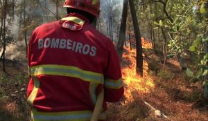 Le Portugal tente de venir à bout d'une vague d'incendie