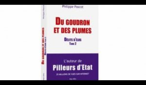 Philippe Pascot sur la Loi de moralisation: «les élus peuvent toujours autant truander»