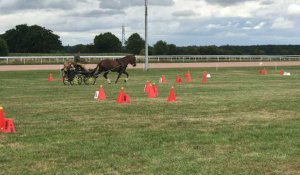 Concours régional d'attelage, épreuve de maniabilité 