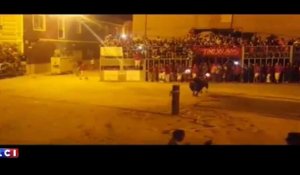 Espagne : Un taureau se suicide après avoir eu les cornes enflammées (Vidéo)