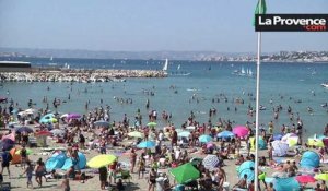 Marseille : "Les touristes et les Marseillais peuvent venir à la plage en toute sécurité" (Préfet de police)