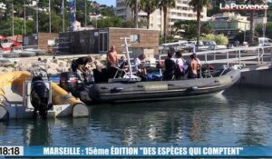 Marseille : le Parc national des Calanques lance sa 15e édition "des espèces qui comptent"