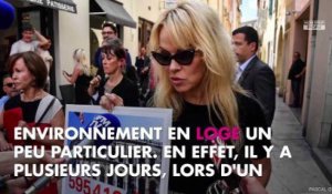 DALS 9 : Pamela Anderson vegan convaincue, elle a imposé ses conditions à la production