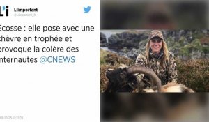 Ecosse : Une chasseuse pose avec des chèvres mortes et fait polémique
